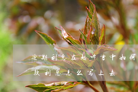 逾期利息在起诉书中如何写(起诉状上面的欠款利息怎么写上去)