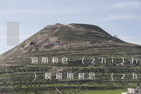 逾期利息執(zhí)行到什么時(shí)候(逾期利息執(zhí)行到什么時(shí)候結(jié)束)