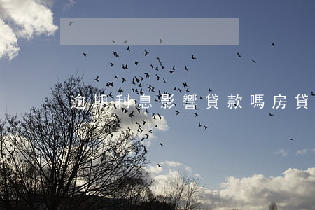 逾期利息影響貸款嗎(房貸逾期會產生利息嗎)