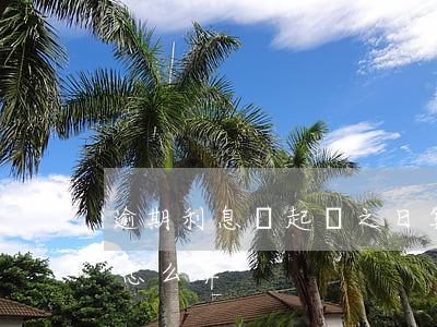 逾期利息從起訴之日算嗎(逾期法院判決利息怎么算)