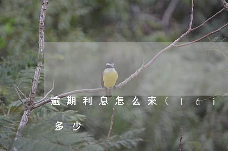 逾期利息怎么來(lái)的(逾期了利息是多少)