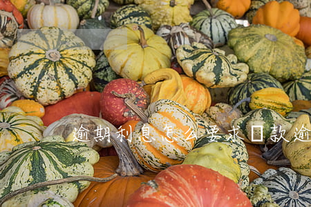 逾期利息怎么要求還款(逾期還款的利息)