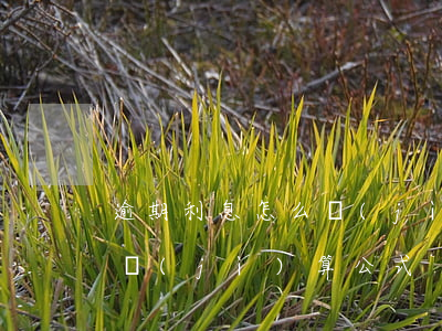 逾期利息怎么計(jì)算-逾期利息怎么計(jì)算公式