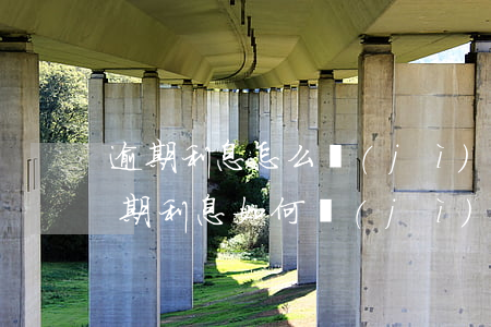 逾期利息怎么計(jì)算信用卡(信用卡逾期利息如何計(jì)算)