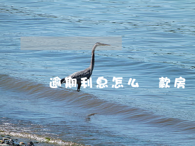 逾期利息怎么還款(房貸逾期利息怎么還)