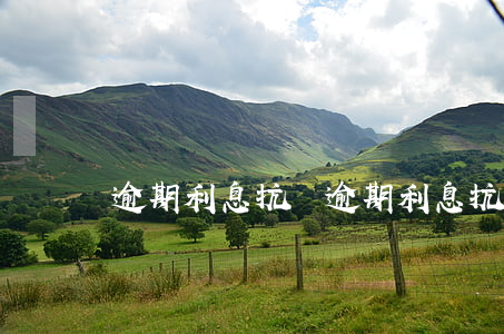 逾期利息抗辯 逾期利息抗辯