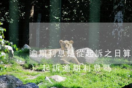逾期利息是從起訴之日算起嗎（能單獨(dú)起訴逾期利息嗎）