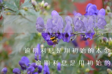 逾期利息是用初始的本金計(jì)算還是-逾期利息是用初始的本金計(jì)算還是復(fù)利