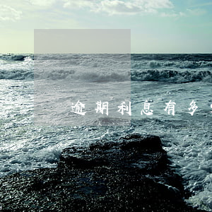 逾期利息有多少(有錢花逾期利息有多少)