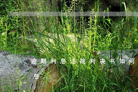 逾期利息法院判决书如何表述 判决后逾期利息