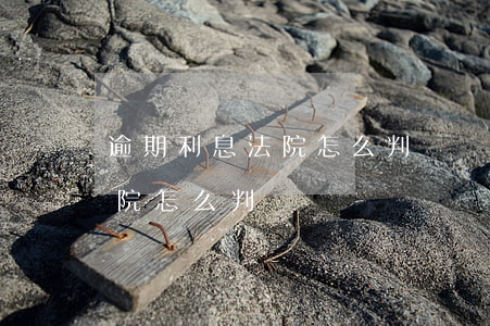 逾期利息法院怎么判（債務(wù)逾期了法院怎么判）
