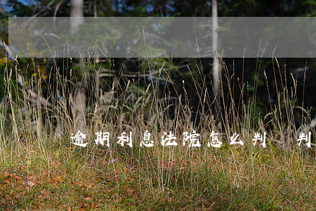 逾期利息法院怎么判決(判決后逾期利息)