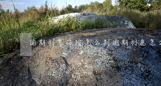 逾期利息法院怎么判（逾期利息怎么起訴）