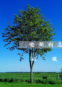 逾期利息法院支不支持（借款逾期利息法院怎么處理）