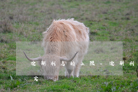 逾期利息的上限-逾期利息的規(guī)定