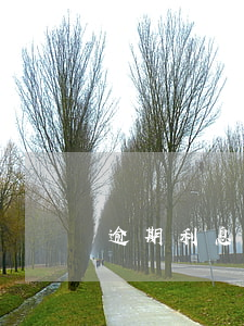 逾期利息的法律條款 逾期支付利息的條款