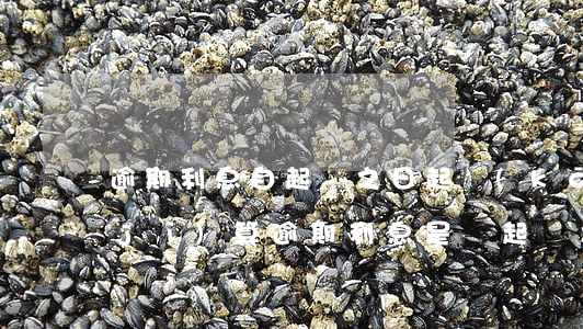 逾期利息自起訴之日起開(kāi)始計(jì)算 逾期利息是從起訴之日算起嗎