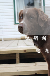 逾期利息與逾期期間的一般利息-逾期利息與逾期期間的一般利息的區(qū)別