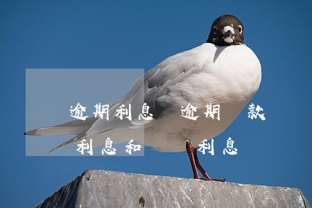 逾期利息與逾期還款違約責(zé)任(逾期利息和違約利息)