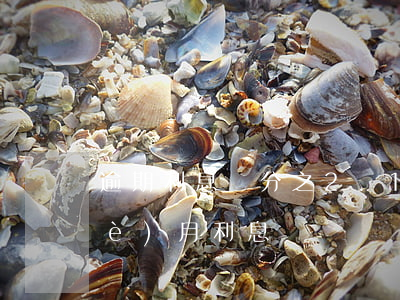 逾期利息萬分之2.1-2萬逾期一個(gè)月利息