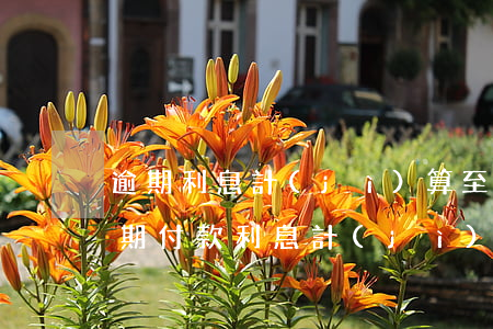逾期利息計(jì)算至向法院交款之日(逾期付款利息計(jì)算)