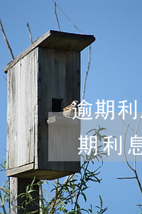 逾期利息起訴日期怎么算-計(jì)算逾期利息的起算時(shí)間