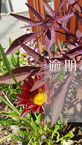 逾期利息起訴有用嗎(訴訟請求逾期利息)