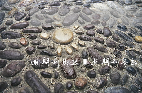 逾期利息起訴(逾期利息起訴有用嗎)