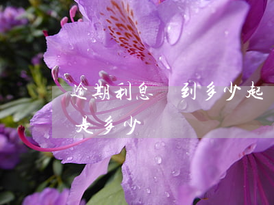 逾期利息達到多少起訴(民事訴訟法逾期利息是多少)