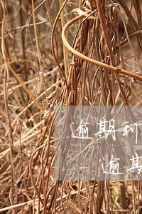 逾期利息違約金可以同時(shí)主張嗎-逾期利息違約金可以一起用嗎