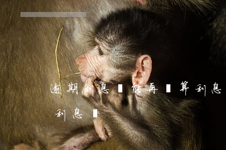 逾期利息還能再計算利息嗎（逾期欠款可以算利息嗎）
