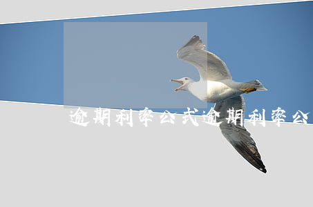 逾期利率公式(逾期利率公式計算)