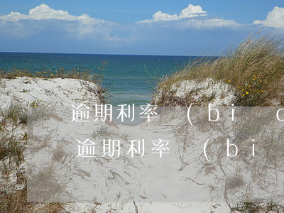 逾期利率標(biāo)準(zhǔn)-逾期利率標(biāo)準(zhǔn)是多少