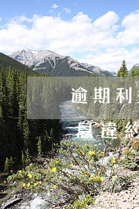 逾期利益及違約金可以一起要求嗎-逾期利息違約金可以一起用嗎