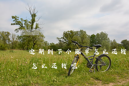 逾期到下个账单怎么还钱-逾期到下个账单怎么还钱呢