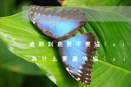 逾期到底要不要協(xié)商還款(逾期后為什么要盡快協(xié)商)