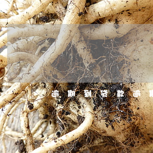 逾期到贷款,逾期了贷款 逾期到贷款,逾期了贷款