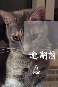 逾期前可以停息掛帳么（逾期后銀行會同意停息掛賬嗎）