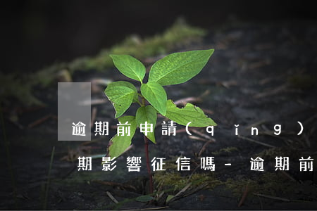 逾期前申請(qǐng)個(gè)性化分期影響征信嗎-逾期前申請(qǐng)個(gè)性化分期影響征信嗎