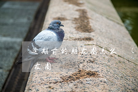 逾期前的朋友圈怎么發(fā)（逾期前的朋友圈）