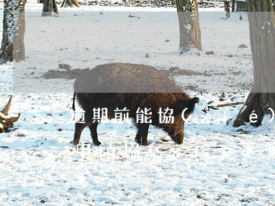 逾期前能協(xié)商還款嗎(未逾期可以申請協(xié)商還款嗎?)