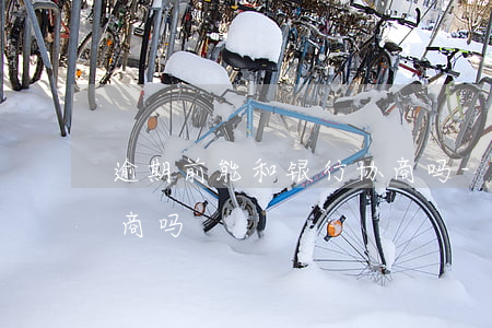 逾期前能和银行协商吗-逾期前能和银行协商吗?