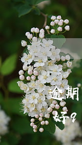 逾期剛好90天是否是超過90天-逾期剛好90天是否是超過90天了