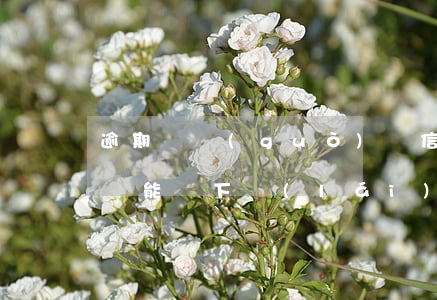 逾期剛過(guò)辦信用卡好辦嗎(有逾期還能辦下來(lái)信用卡嗎)