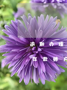 逾期办理存款账户报告会罚款吗-逾期办理存款账户报告会罚款吗