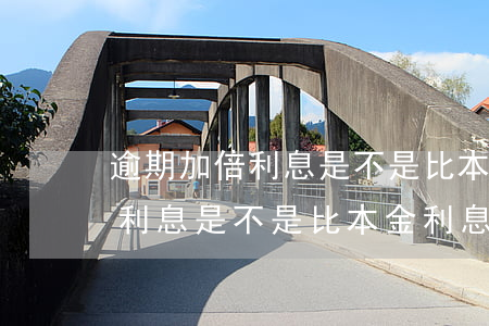 逾期加倍利息是不是比本金利息高(逾期加倍利息是不是比本金利息高點)