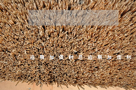 逾期加倍利息(逾期加倍利息計算)
