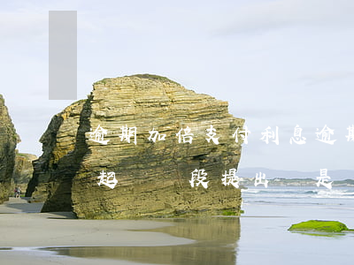 逾期加倍支付利息(逾期加倍支付利息是民事起訴階段提出還是強(qiáng)制執(zhí)行)