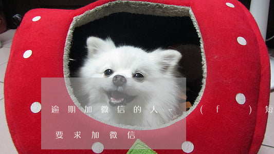 逾期加微信的人-發(fā)短信來說逾期要求加微信