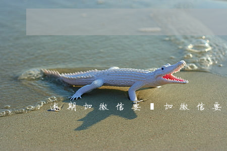 逾期加微信要錢(加微信要錢違法嗎)